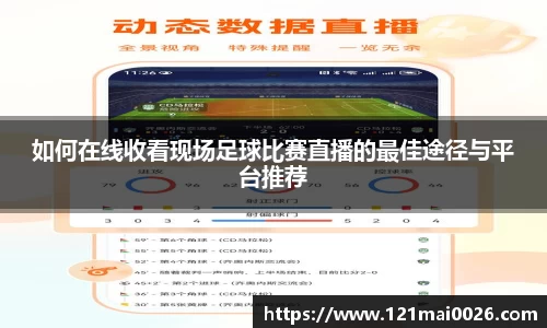 如何在线收看现场足球比赛直播的最佳途径与平台推荐