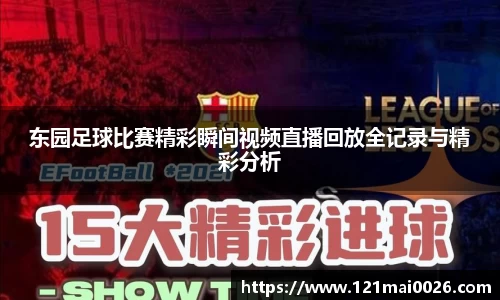 东园足球比赛精彩瞬间视频直播回放全记录与精彩分析